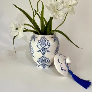جینجر جار