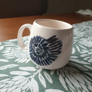 ماگ صدفی