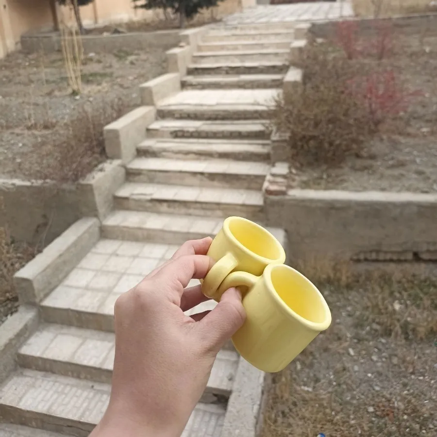 ماگ 2 عددی