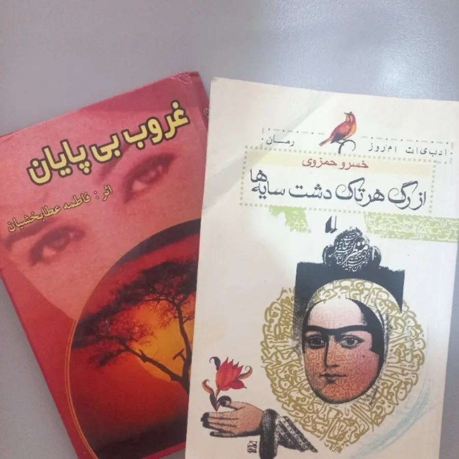 دو کتاب رمان