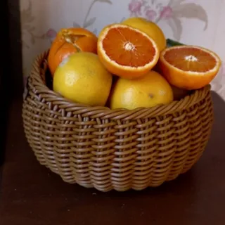 ظرف میوه