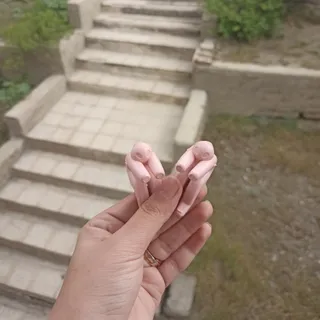 نگهدارنده