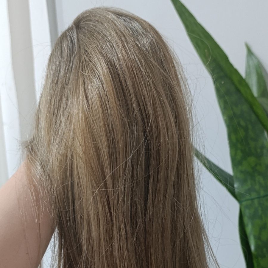 کلاه گیس