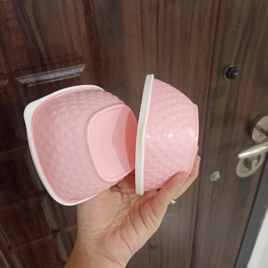 ظرف نگهدارنده