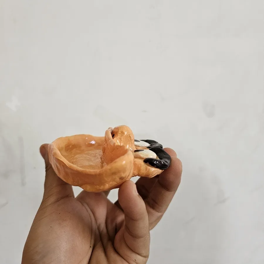 ظرف کوچک