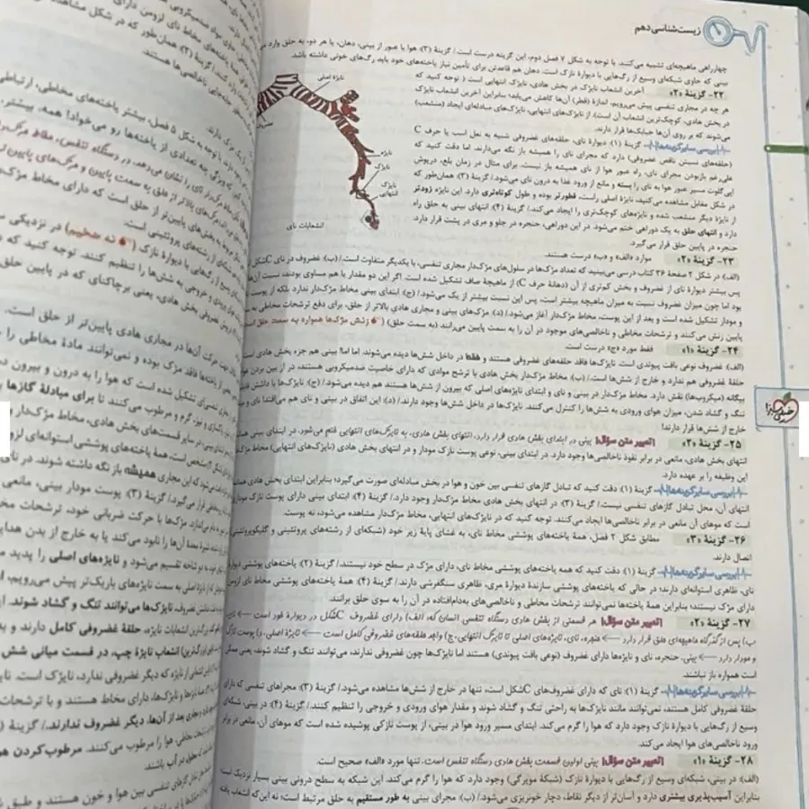کتاب خیلی سبز زیست
