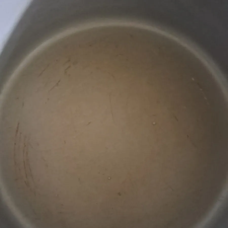 پلوپز برقی
