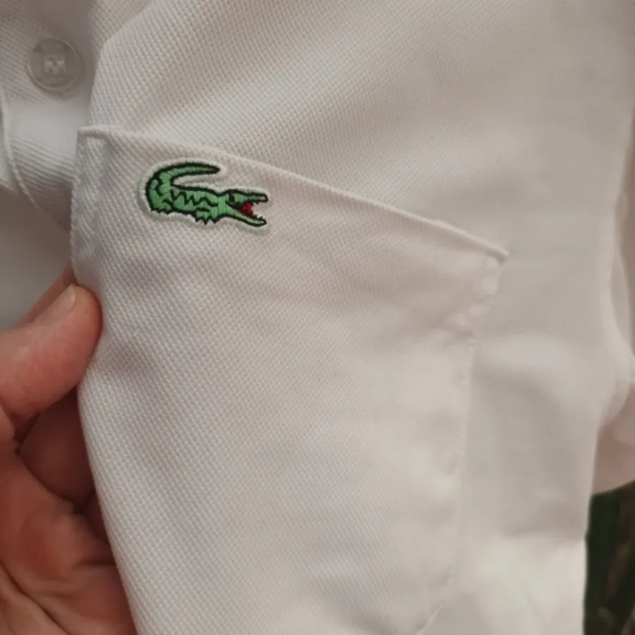 تیشرت مارک لاگوست اصل