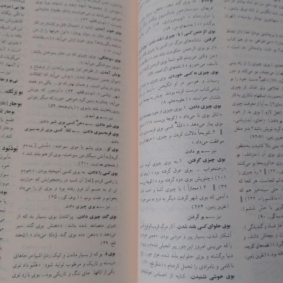 فرهنگ فارسی عامیانه