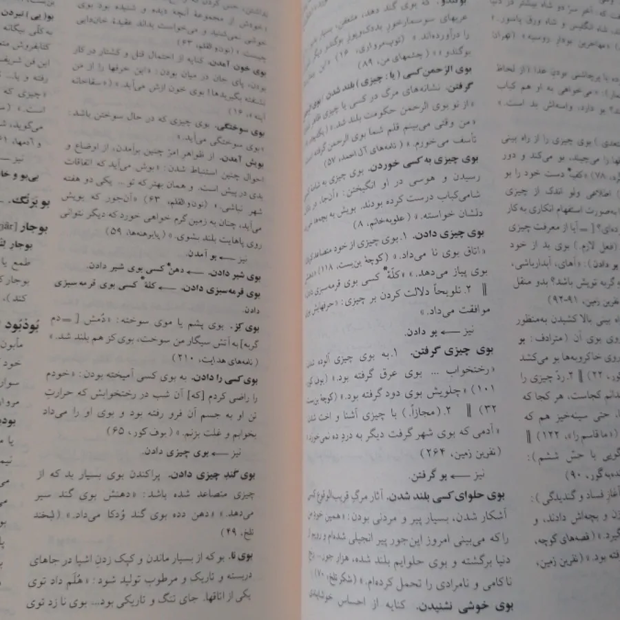 فرهنگ فارسی عامیانه