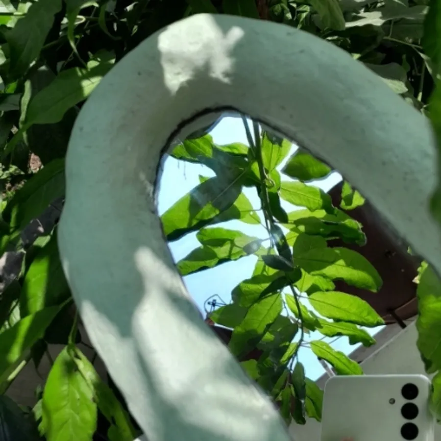 آینه پاپیه ماشه