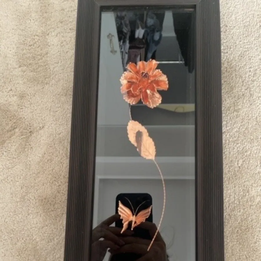 قاب گل مسی