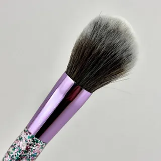 براش تکی آکواریومی