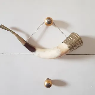 کنتسی گرجی جام شاخ