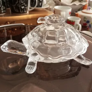 شکلات خوری لاک پشت