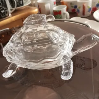 شکلات خوری لاک پشت