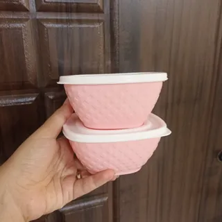 ظرف نگهدارنده