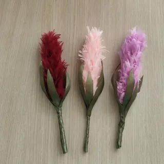 گل سنبل روبانی