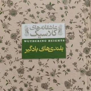 رمان بلندی های بادگیر