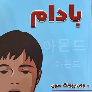 کتاب بادام