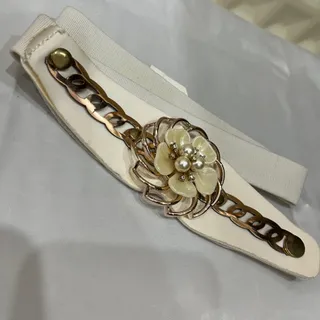 کمربند مجلسی