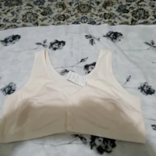 نیم تنه