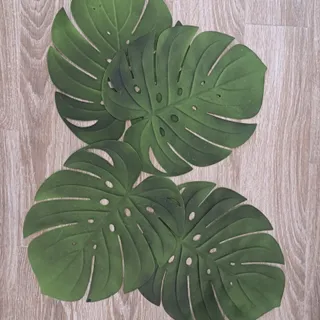 برگ انجیری فومی