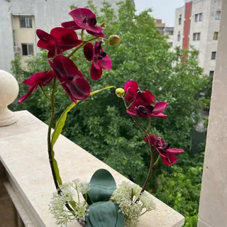 گل ارکیده