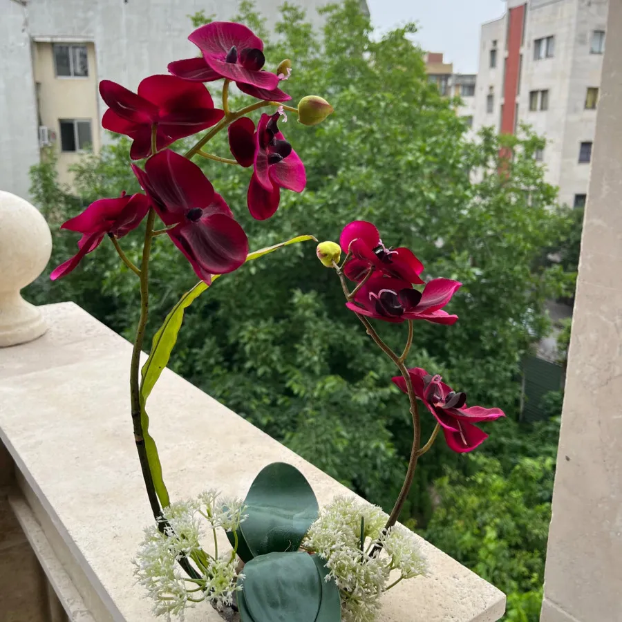 گل ارکیده