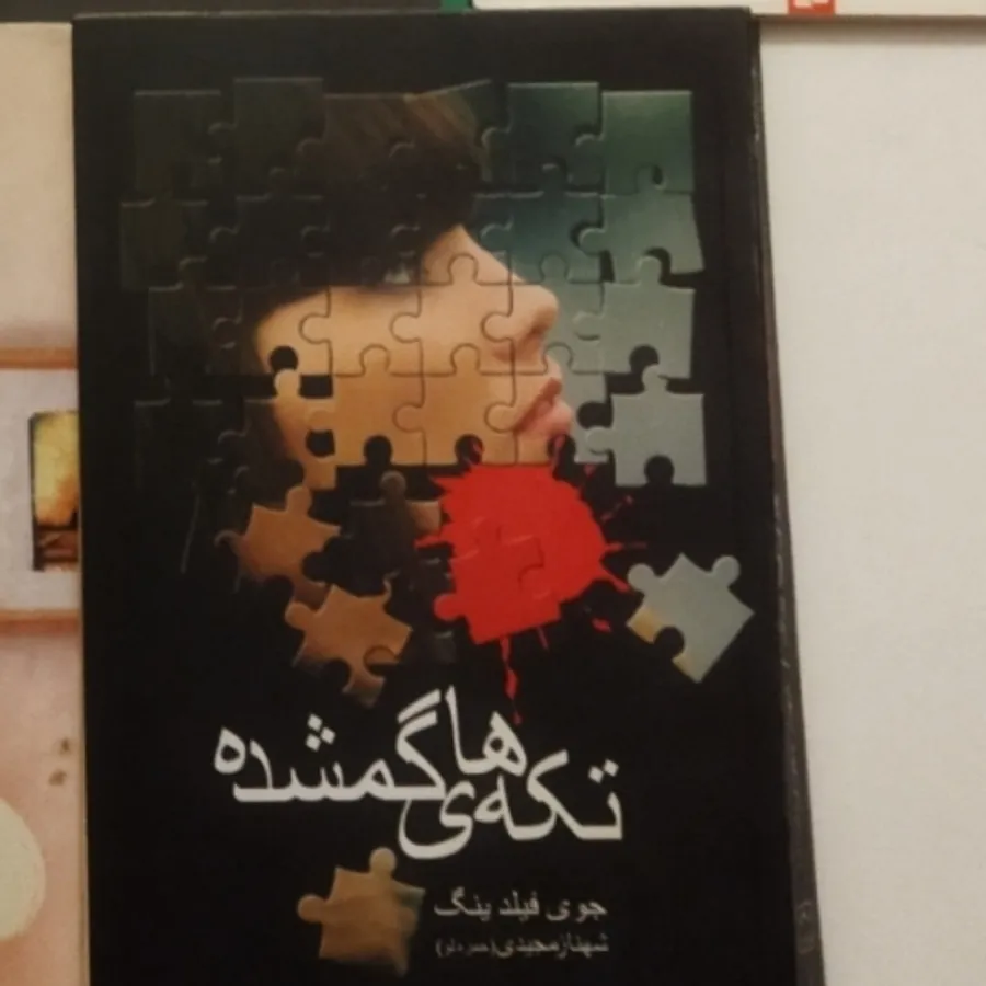 کتاب تکه های گمشده
