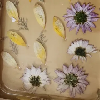 سینی شفاف