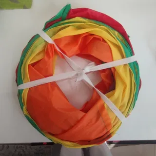 تونل گربه