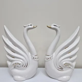 قو سفید چینی