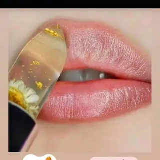 بالم لب ال پی 10