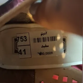 کفش مجلسی