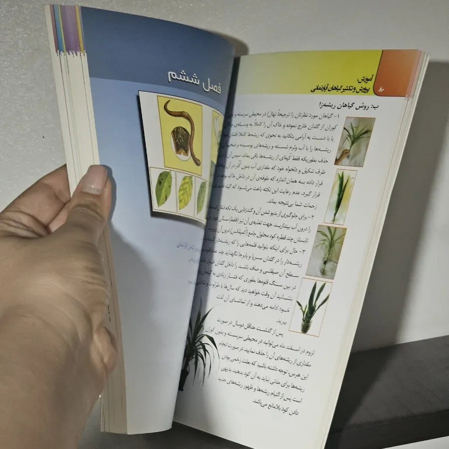 پرورش گیاهان‌ آپارتمانی