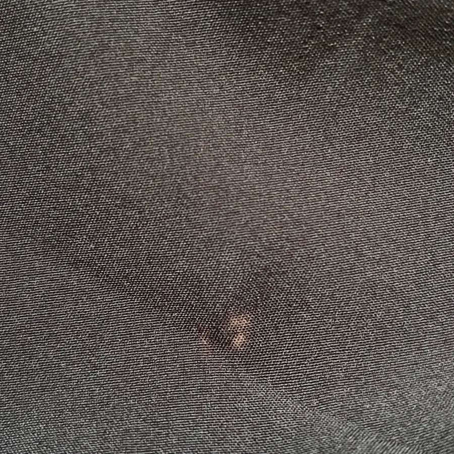 شورتک مردانه وارداتی