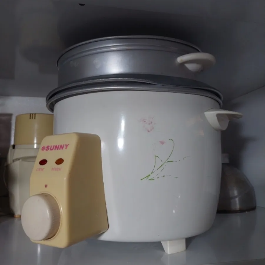 پلوپز غذاساز سانی