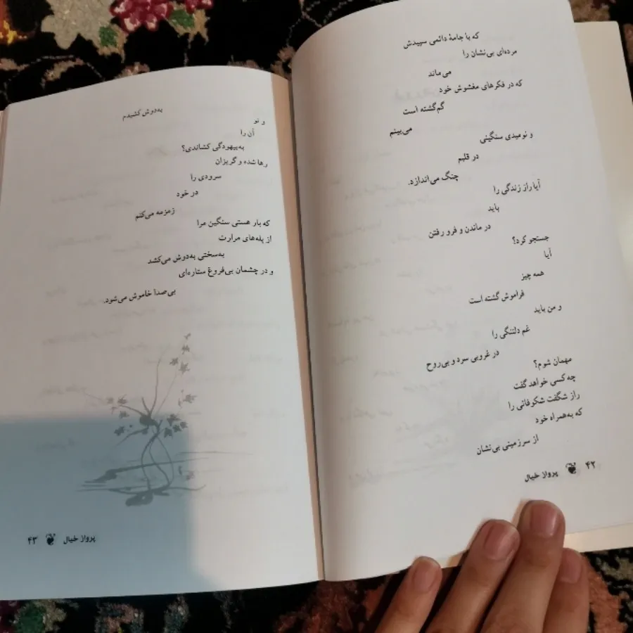پرواز خیال