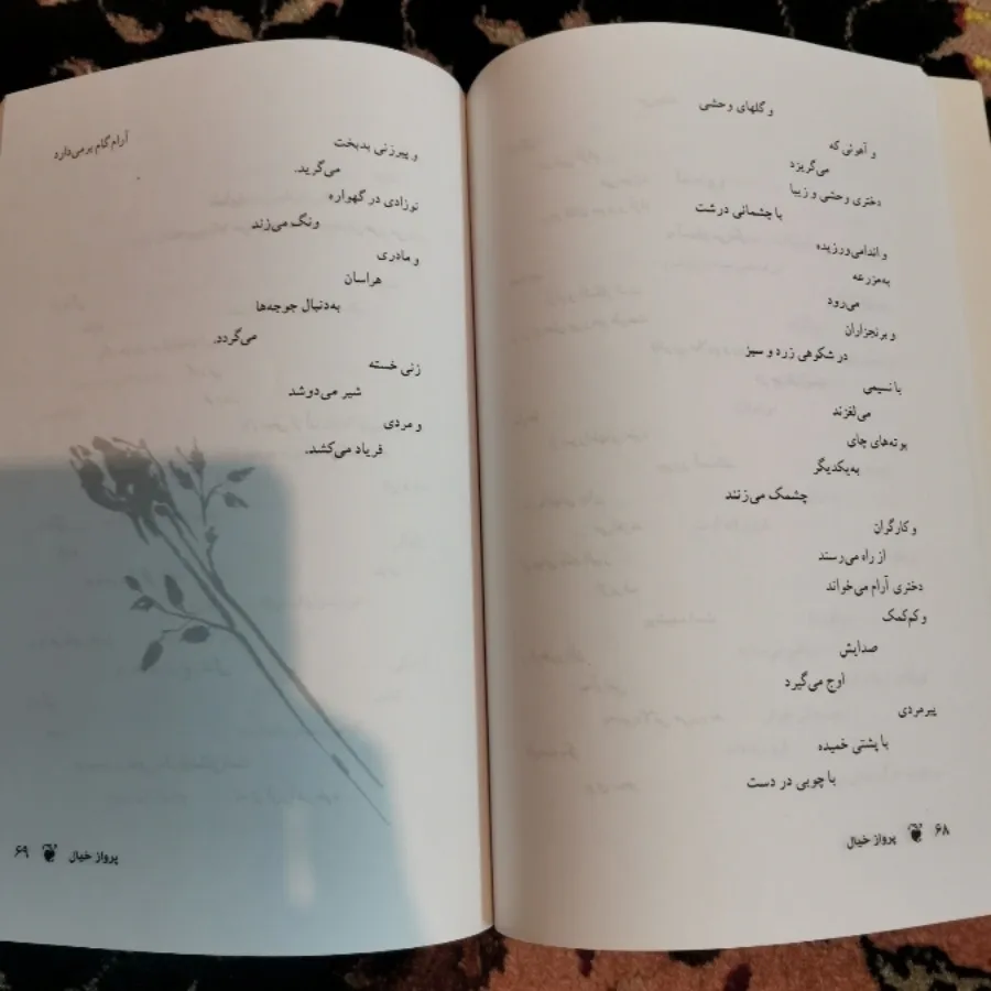 پرواز خیال