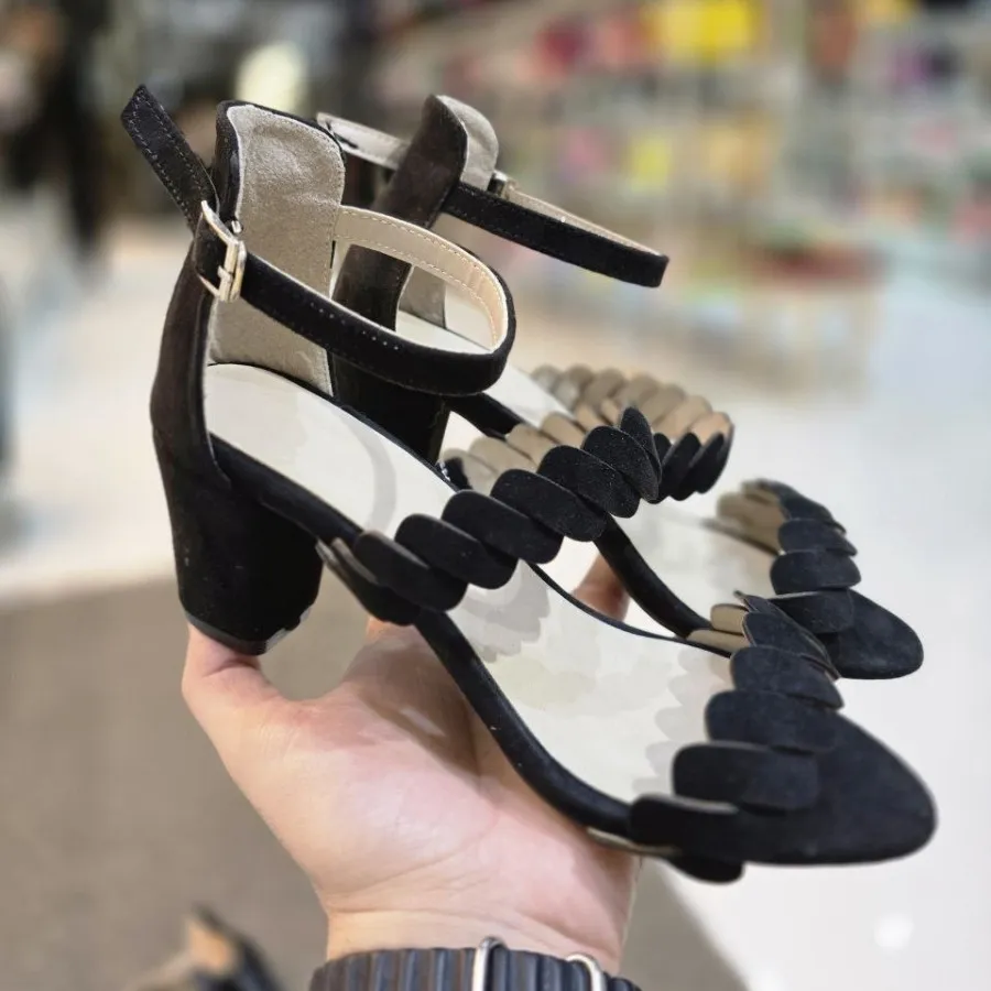 صندل  مجلسی