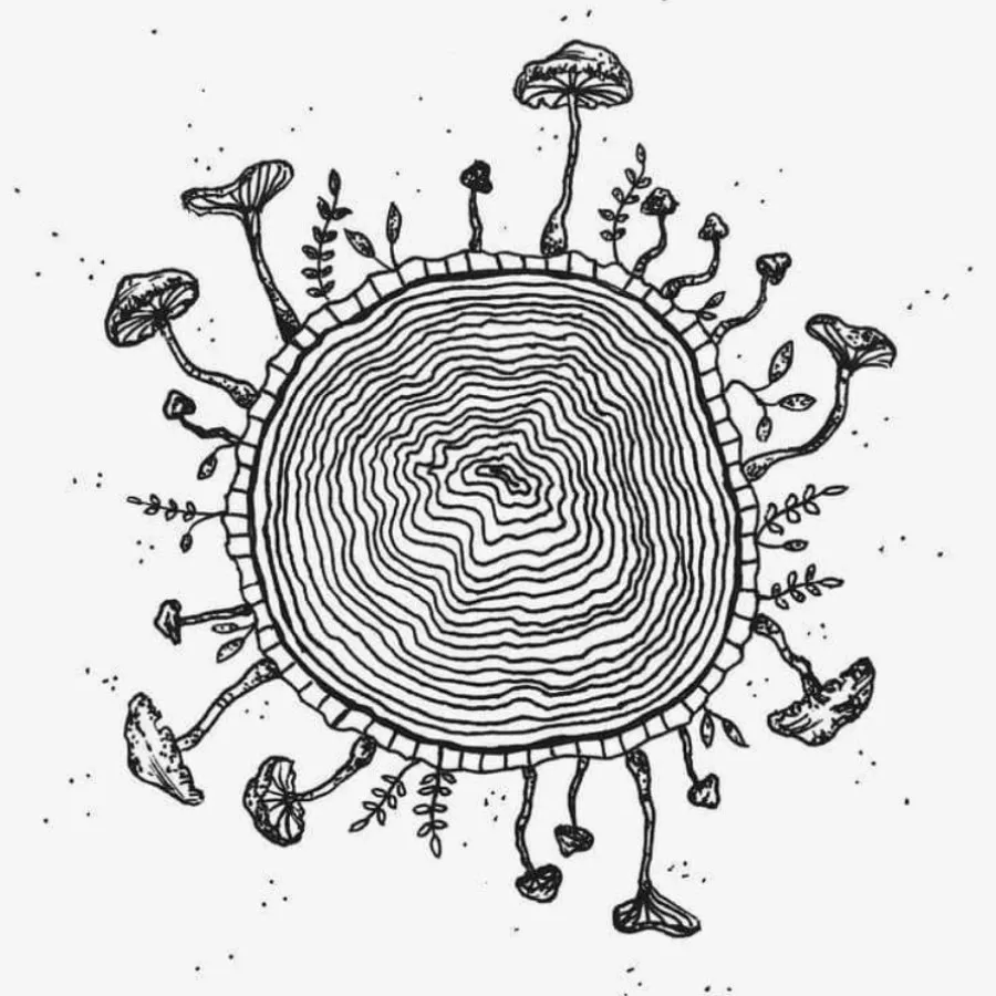 نقاشی لاین آرت