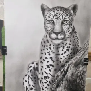 سیاه قلم یوز پلنگ
