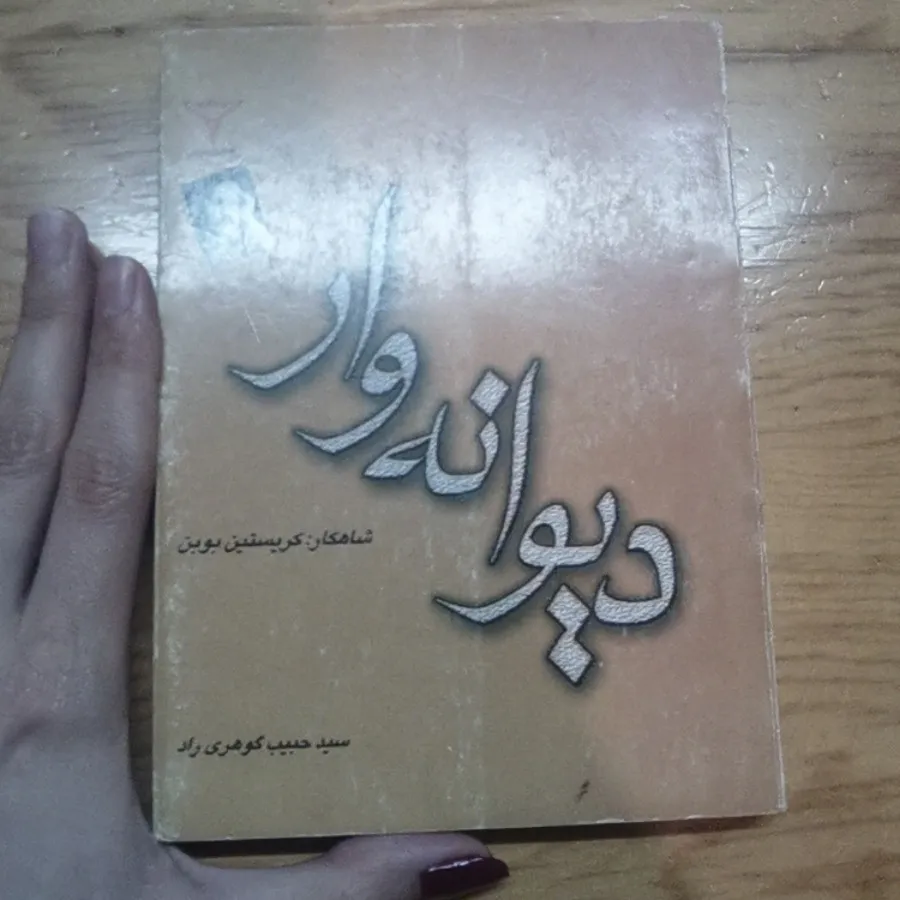 دیوانه وار