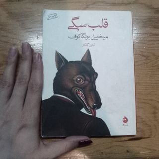 قلب سگی