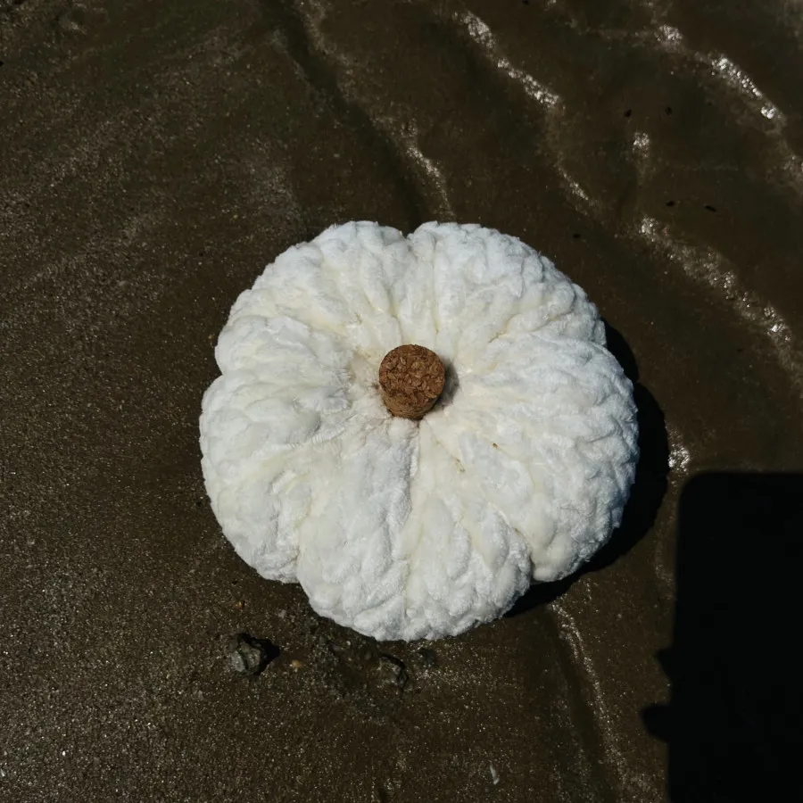 کدو تدی