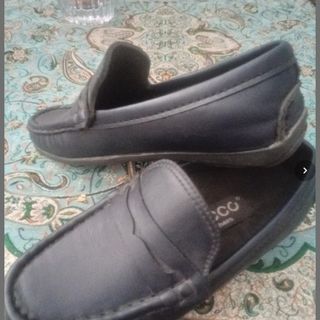 کفش اکو