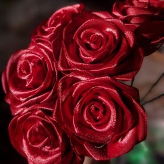 رز شاخه ای