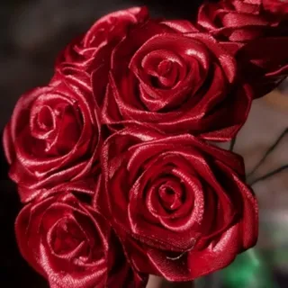 رز شاخه ای