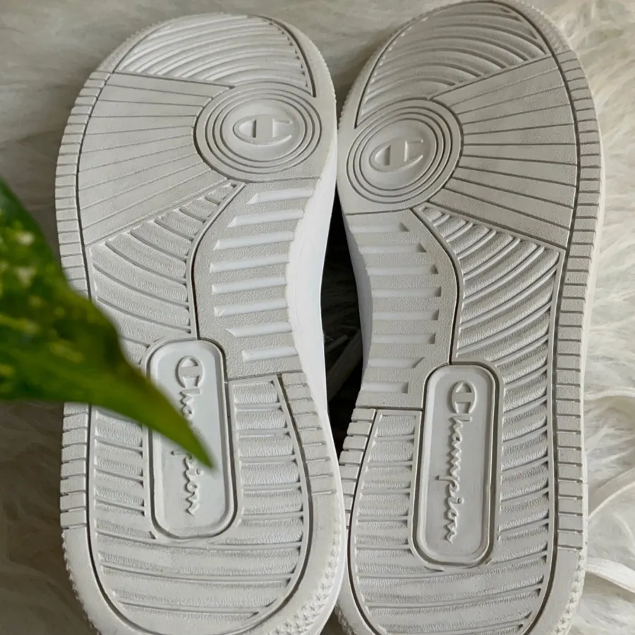 کتونی اصل چمپیون سایز 39